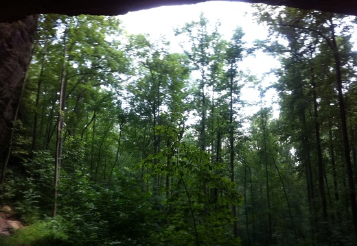 Sheltowee Trace, Red River Gorge